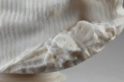 Alabasterbüste eines jungen Mädchens, 19. Jh.