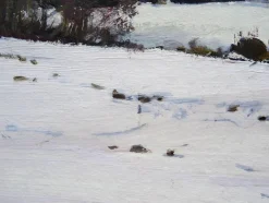 Alfejs Bromults, Forest Edge at Winter, 1983, Öl auf Karton