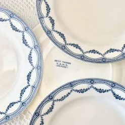 Antike französische Teller von Salins-Les-Bains, 1800er, 9 . Set