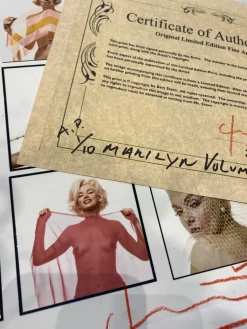 Bert Stern, Marilyn: The Last Sitting, 2009, Fotodruck