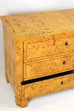 Biedermeier Kommode aus Ahorn Maser, 1830