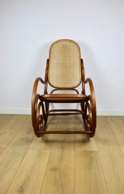 Brauner Vintage Schaukelstuhl von Michael Thonet