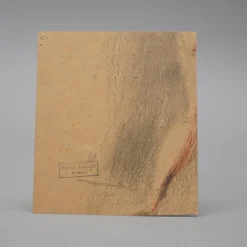 Ferdinand Balzer, Profil, 1890er, Kohle auf Papier