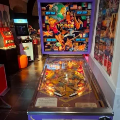 Flipper Torch Flipper, 1980