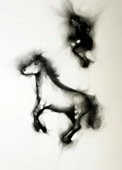 Flying Alinga Double Jump, Smoke on Paper, 2013