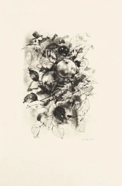 Fruit - Original Radierung von Michel Ciry - 1964 1964