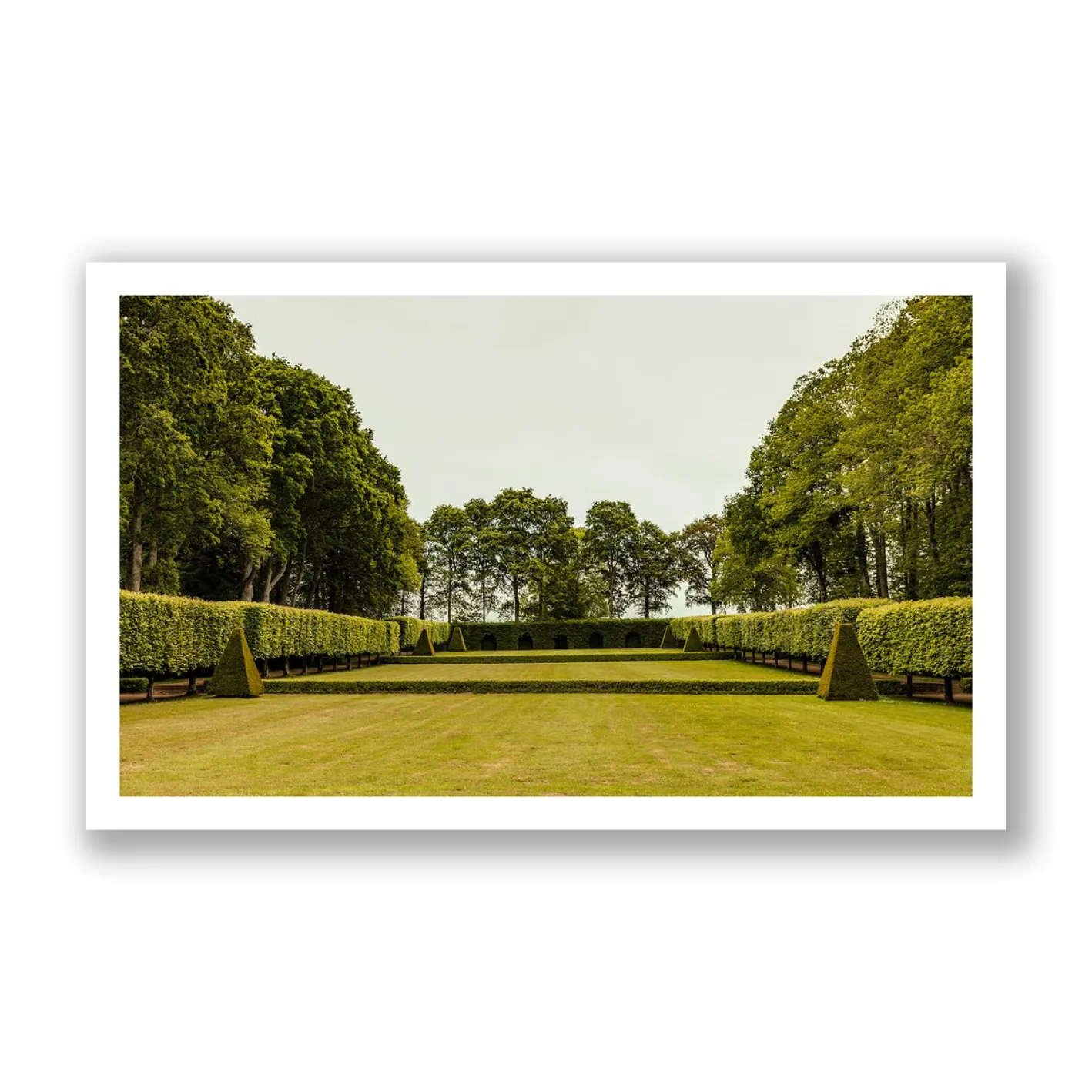 Guy Sargent, Der Garten, Fotografie