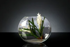 Italienische Eternity Oval Bromelia Set Komposition von VGnewtrend