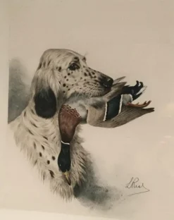 L. Riad, englischer Setter und Ente, 1920er, Farblithographie