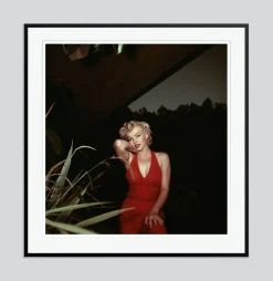 Marilyn Monroe Circa 1954 Silver Gelatin Resin Print Framed in Black by Baron