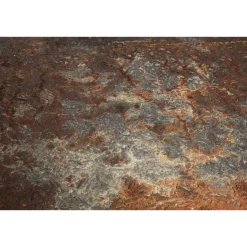 590 Million Years Love Table von Alina Alamorean