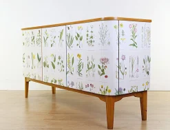 Modernes schwedisches Sideboard mit Illustrationen Nordens Flora von CAM Lindman, 1930er