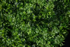 Modulare Ecuador Garten Wandtafel von VGnewtrend