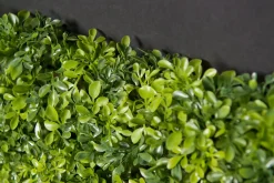 Modulare Modulare Buchsbaumholz Gartenwand von VGnewtrend
