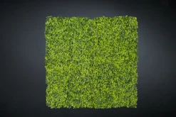 Modulare Modulare Buchsbaumholz Gartenwand von VGnewtrend