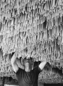 Spaghetti Drying Druck von Alfred Eisenstaedt