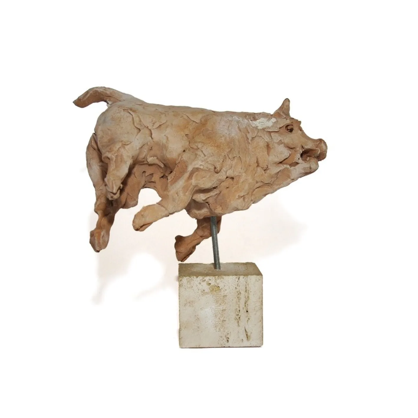 Toro Terrakotta von Mario Bertozzi