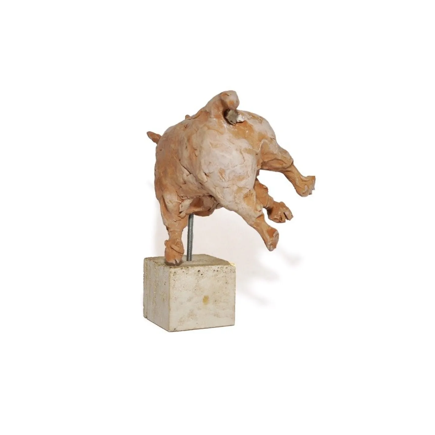 Toro Terrakotta von Mario Bertozzi