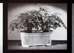 Vintage Pflanzer von Mathieu Matégot für Atelier Matégot, 1950er