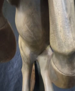 Walnuss Holz Soaring Horse Skulptur