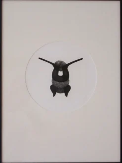 Xavier Corberó, Barcelona, 2008, Tusche auf Papier, gerahmt